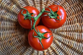 tomato-3520004_1280